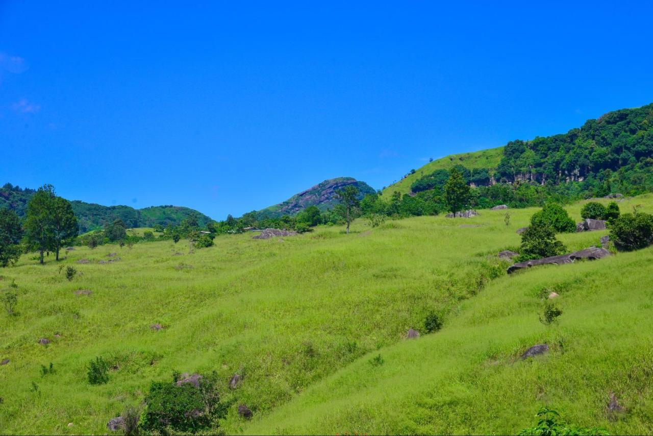 Lak Sewana Home Stay キャンディー エクステリア 写真